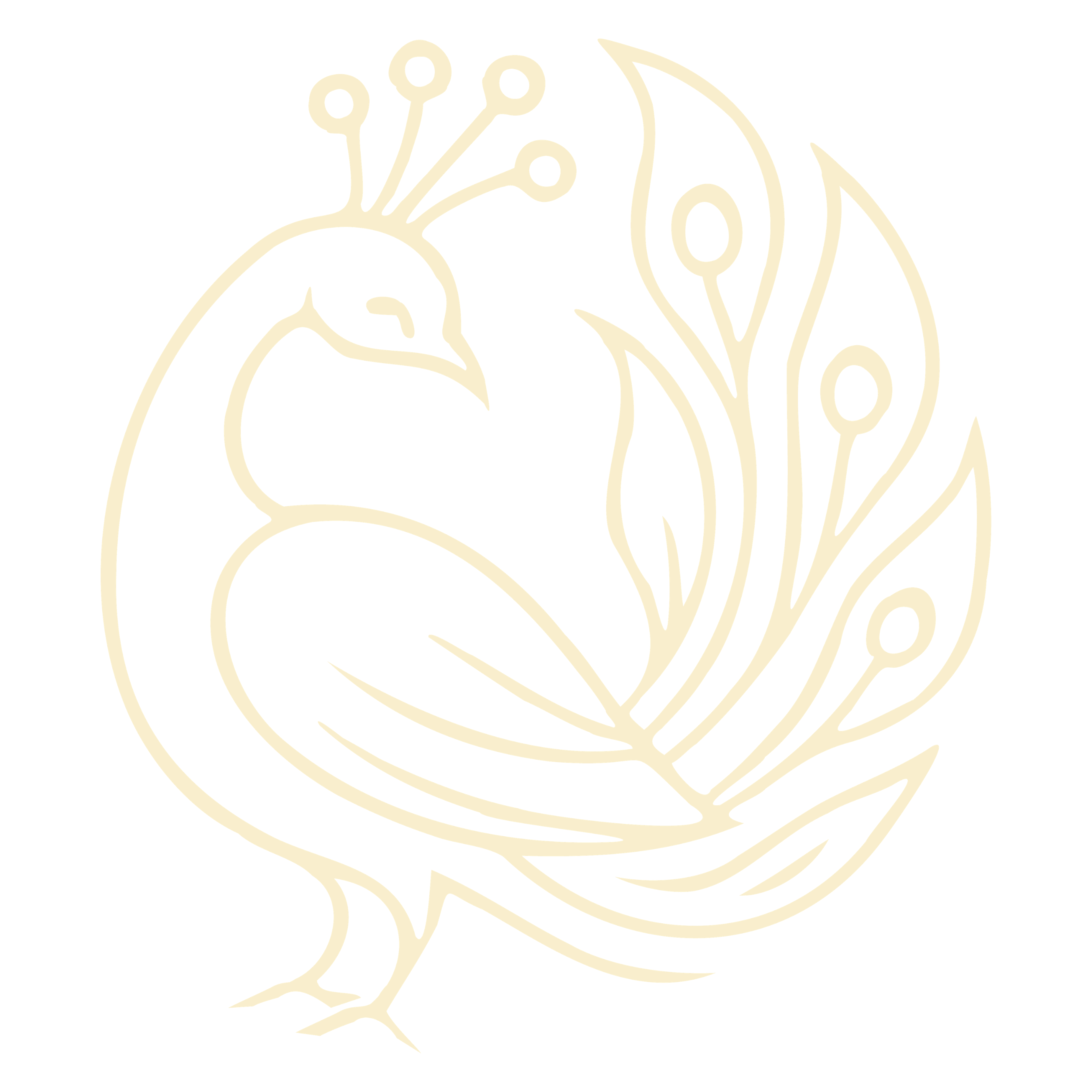 Client 1 Has Trusted Nayyir Scenes to get their Media Production jobs done!